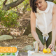 Image for article titled How to Forage for Cocktails